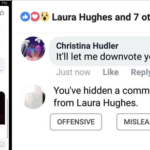 facebook-downvote-button-result