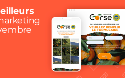 Les meilleurs jeux marketing de novembre